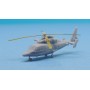 Hélicoptère HH-65 Dolphin (x2)