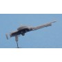 Mitrailleuse Lewis Darne aviation (x2)