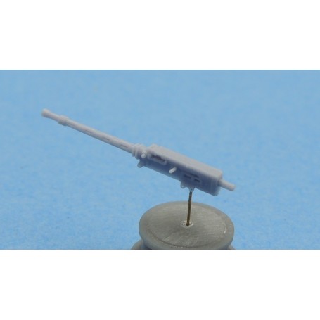 Browning .303 fixed wing MG (x2)